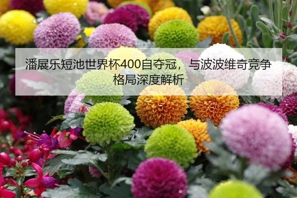 潘展乐短池世界杯400自夺冠，与波波维奇竞争格局深度解析